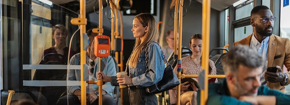 Imagen lineas regulares damas